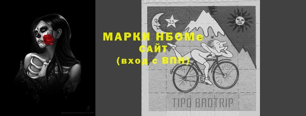 apvp Вяземский